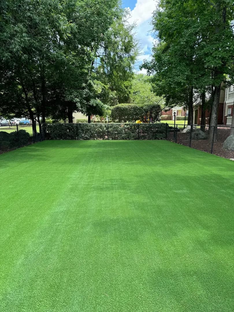 Pavilion with Paver Walkway by Alex's Lawnscape in Charlotte NC — Open-gable timber pavilion with metal roof over paver pad and picnic area, connected by paver walkway with boxwood plantings and fresh mulch beds