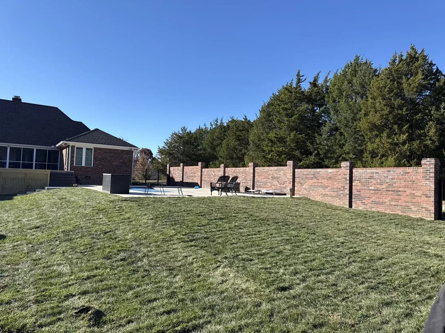 Sod, Privacy Trees & Pool Surround by Alex's Lawnscape in Charlotte NC — Complete backyard with fresh sod installation, Leyland cypress privacy screening along the boundary, brick perimeter wall with columns, and concrete pool deck